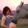 Explainthisimage-com-7d74ef