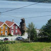 Explainthisimage-com-0586f5