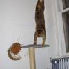 10336 - Unmoderated WTF Pics, Images That Make No Sense - 59