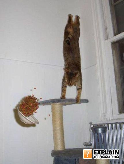 Hungry_12