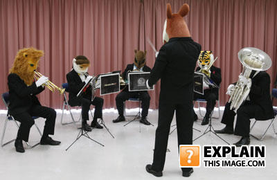 Animal_musicians