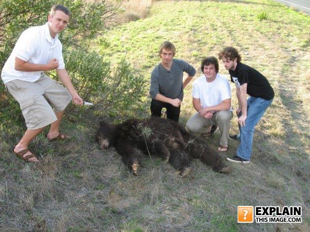 Bearrrrrrrrrrrr