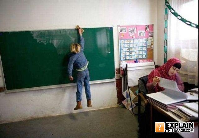 Board