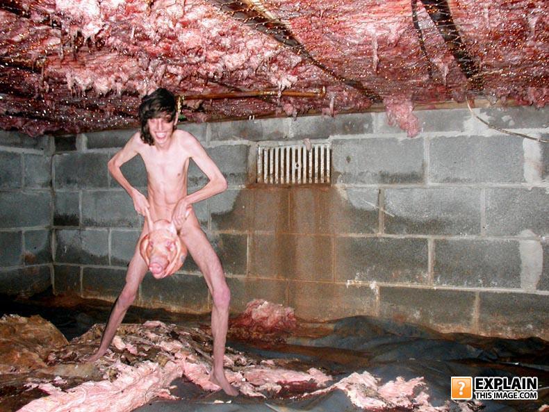 Wtf2