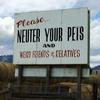 16272 - Unmoderated WTF Pics, Images That Make No Sense - 30