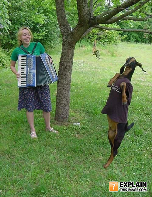 Goat_ftw
