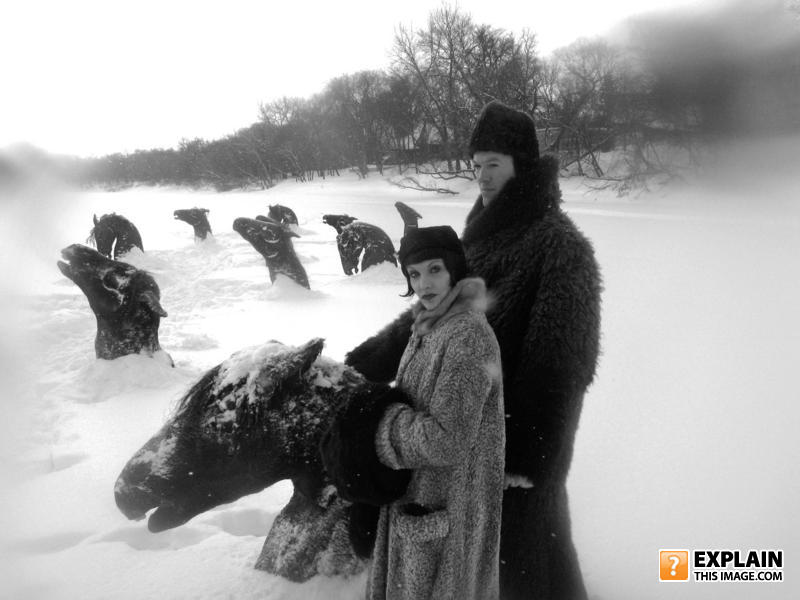 Frozen-horses
