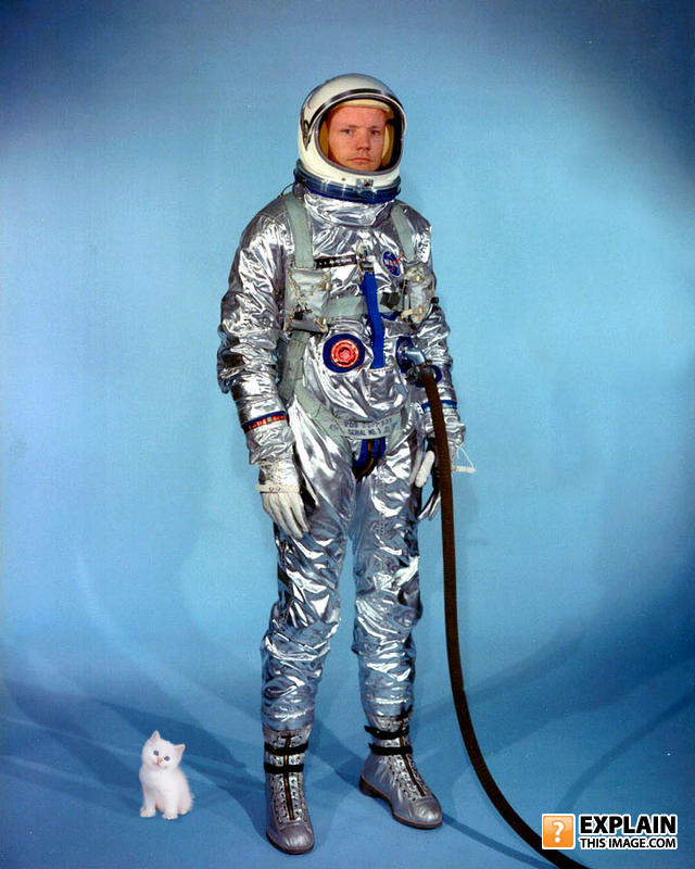 Neil_armstrong_pre_gemini_spacesuit_with_kitten