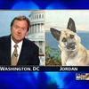 2000 - Unmoderated WTF Pics, Images That Make No Sense - 1