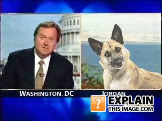 Quizzical_russert