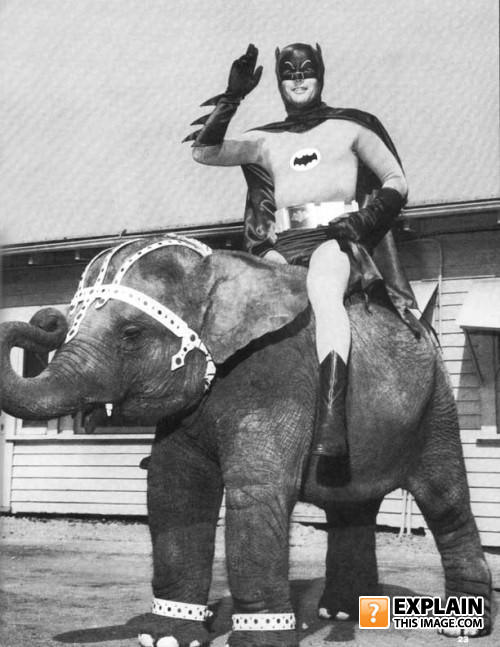 Batphant