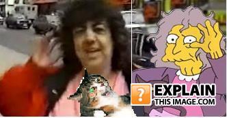 Crazycatlady2