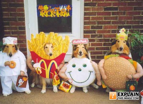 Funny-pets-halloween-costumes-dogs-dressed-up-in-fast-food-outfits