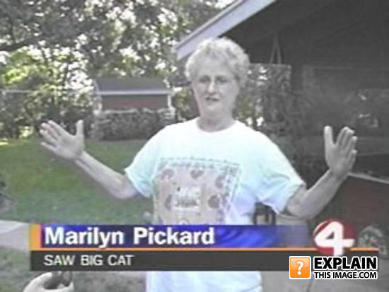 Explain-1