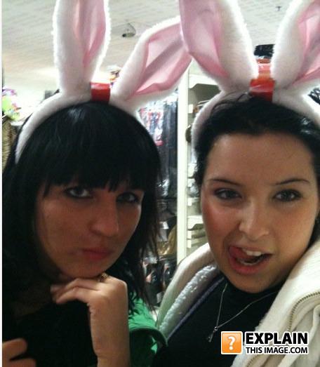 Rabbit
