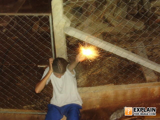 Bombinha_3