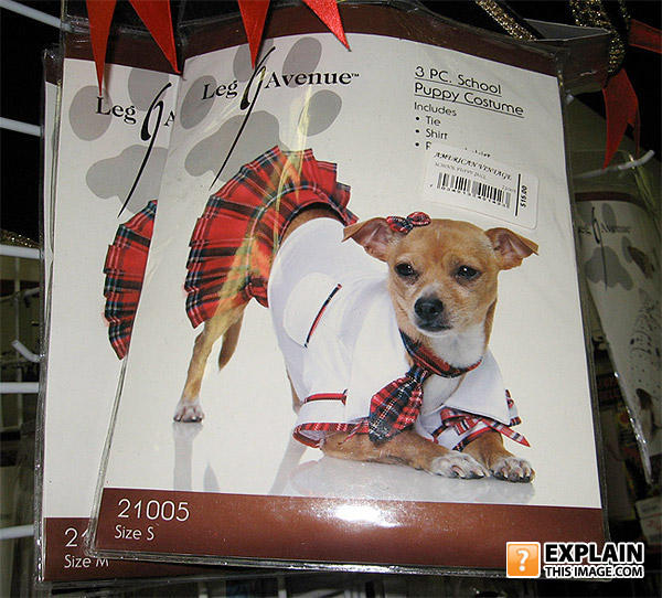 Explaindog