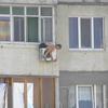 29535 - Unmoderated WTF Pics, Images That Make No Sense - 1