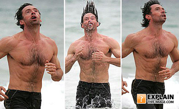 Wolverine