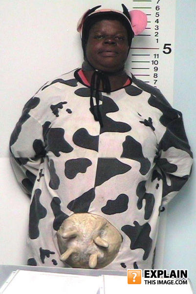 Cowshot