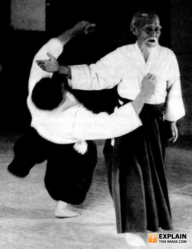 Ninja_master_