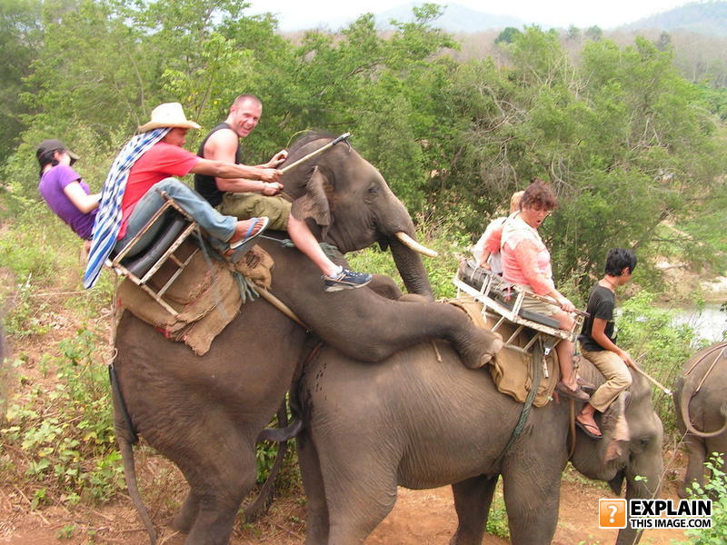 Elephant_ride