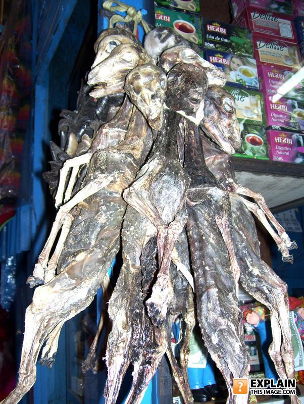 Dead_things