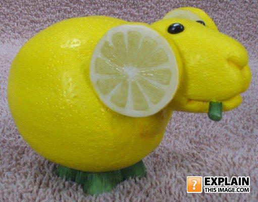 Lemon_goat