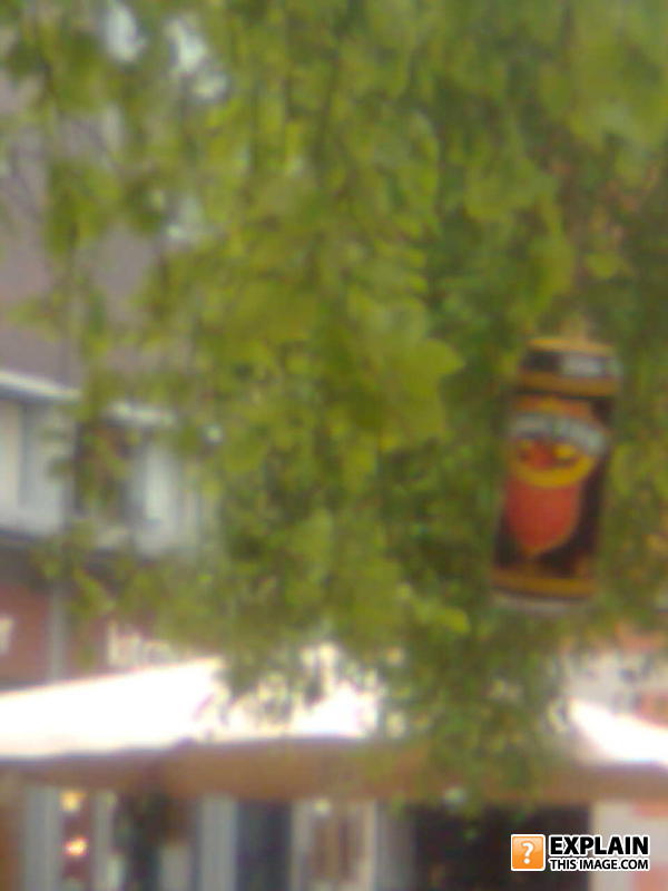 Image020