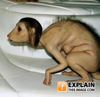 Funny0149