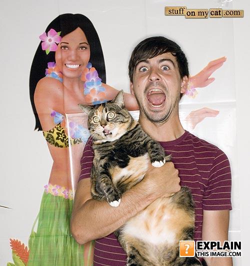 Terrified_cat
