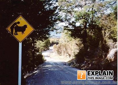 Placa-estranha-352