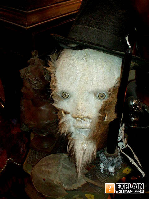 Weird_fur_thing