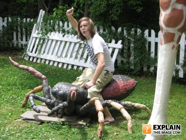 Spider_rider