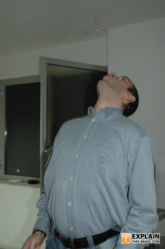 Alvolo