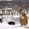 Unxplained-photo-1225258427-84773