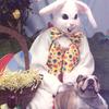 Hershey_s_easter