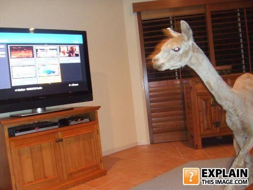 Unxplained-photo-1225258432-50419