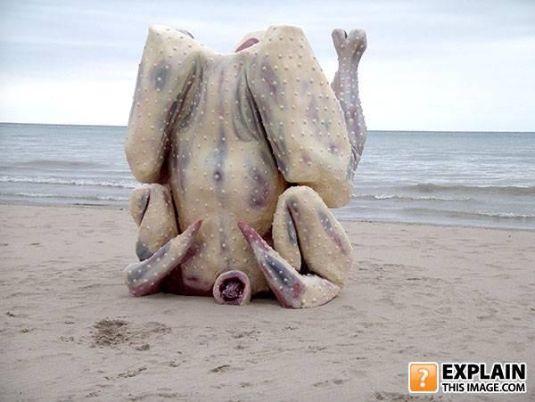 Unxplained-photo-1225258436-67073