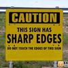 13808 - Explain This Image