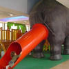 Elephant_slide