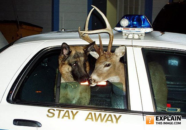 Copcar