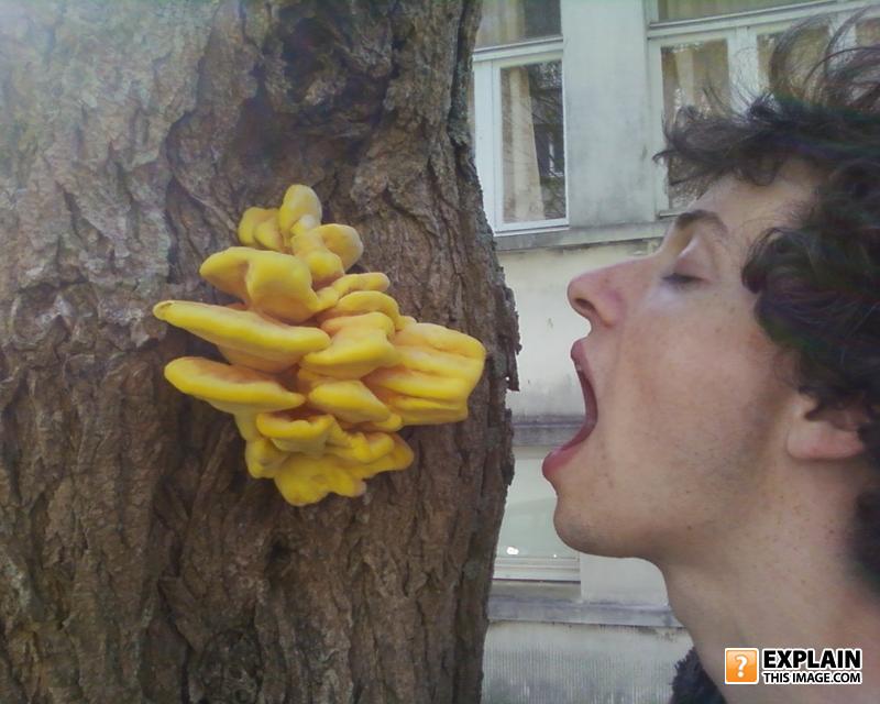 Hungry