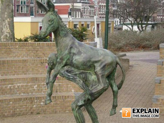Donkey