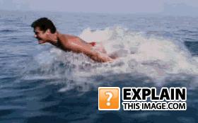 David_hasselhoff_