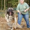 8923 - Unmoderated WTF Pics, Images That Make No Sense - 1