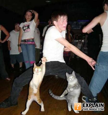 Catssss