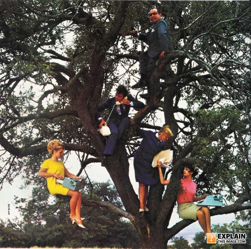 Arbre